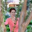 Mary Allen